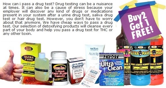Drug Urine Test By Denver Colorado