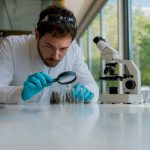 Lab technician examining hair drug test samples