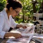 Researcher examining hair follicle microscopic images