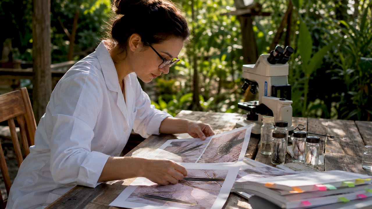 Researcher examining hair follicle microscopic images