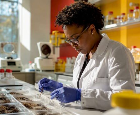 Technician preparing hair sample for drug analysis