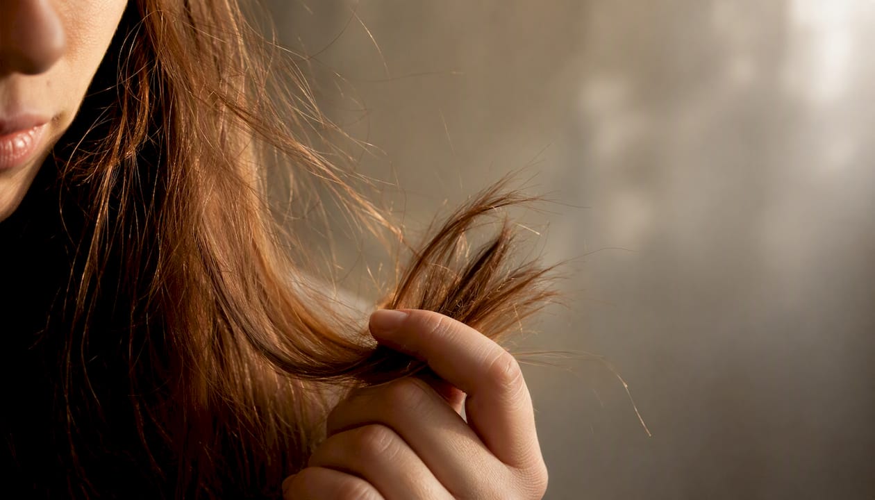 Close-up of damaged brittle hair strands