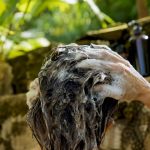 Hands applying clarifying shampoo to hair scalp