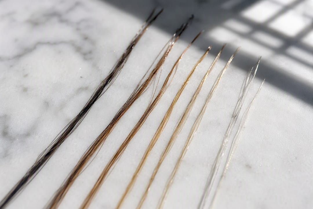 Close-up of hair strands showing melanin