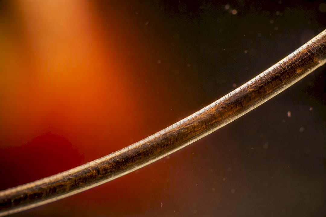 Close-up of hair strand showing metabolites