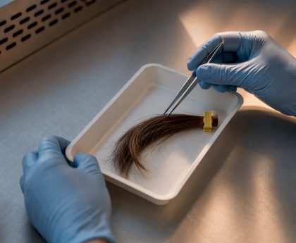 Hair sample prepared for laboratory drug testing