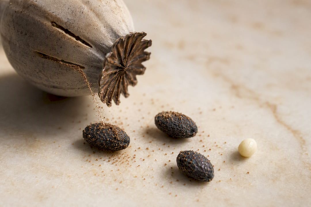 Illustration of residue clinging to poppy seeds