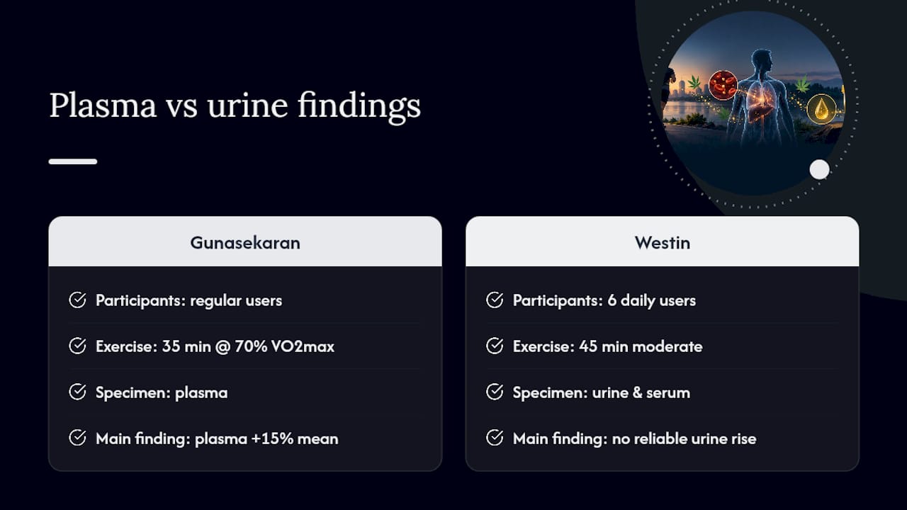 What the Research Actually Shows — overview diagram
