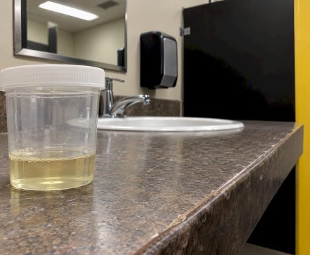 Urine specimen cup in collection restroom