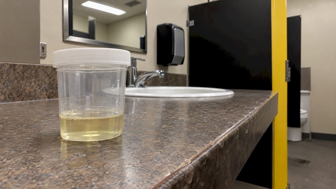 Urine specimen cup in collection restroom