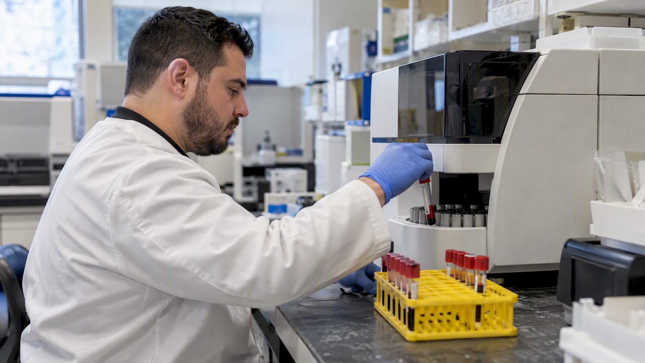 Blood samples prepared for cannabinoid analysis
