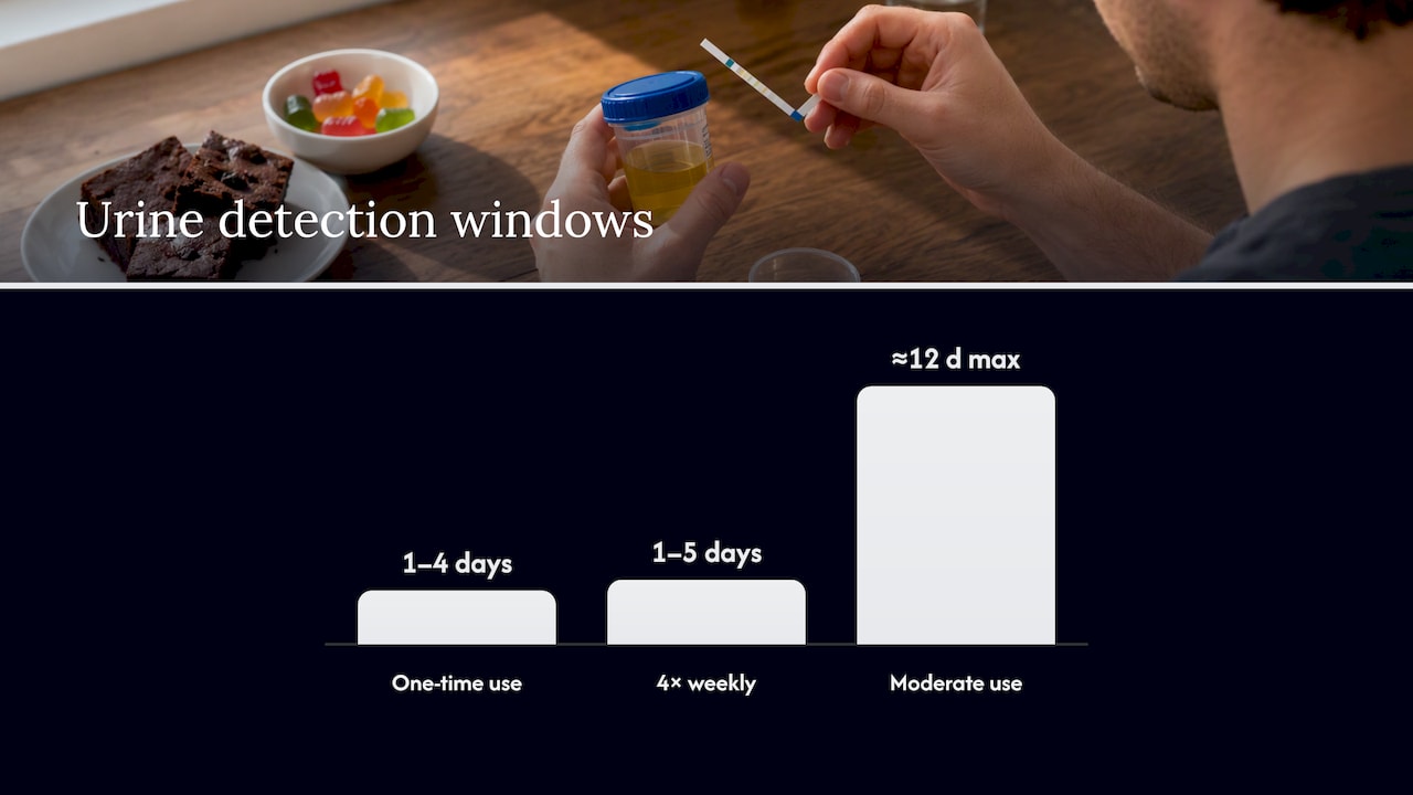 How long edibles stay detectable in urine — overview diagram