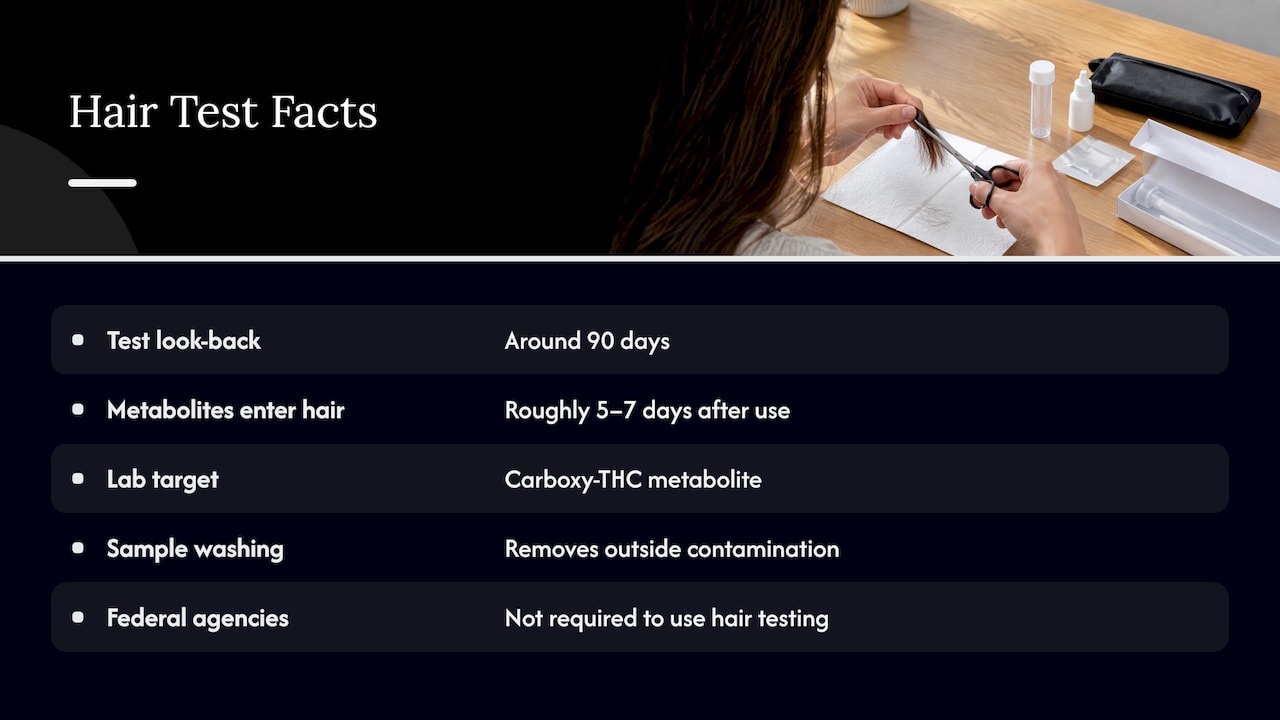 If your test is a hair follicle test — overview diagram