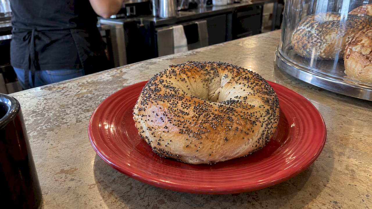 Poppy seeds covering a cafe bagel