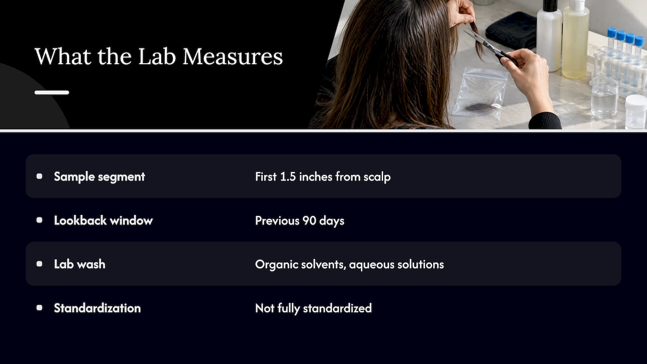 What a hair drug test actually measures — overview diagram
